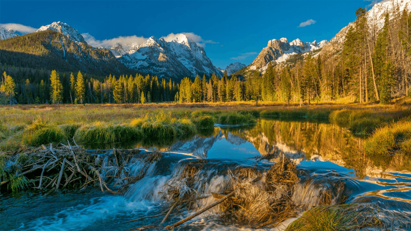Gem State, Real Savings: How to Get a Free Government Cell Phone in Idaho (2026)