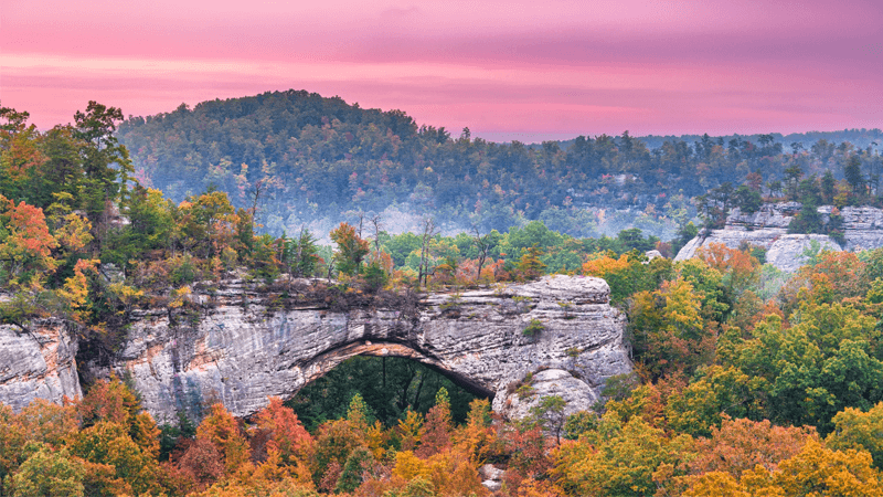 Bluegrass State, Big Savings: How to Get a Free Government Cell Phone in Kentucky (2026)