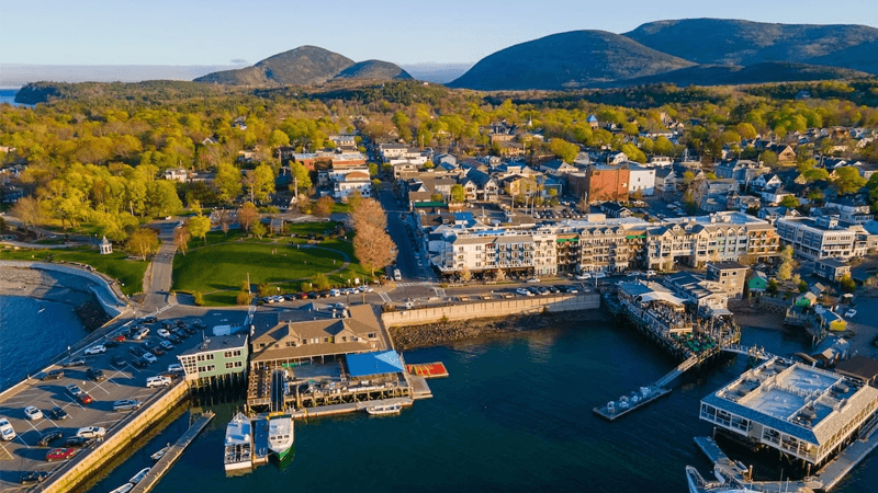 Pine Tree State, Real Connections: How to Get a Free Government Cell Phone in Maine (2026)