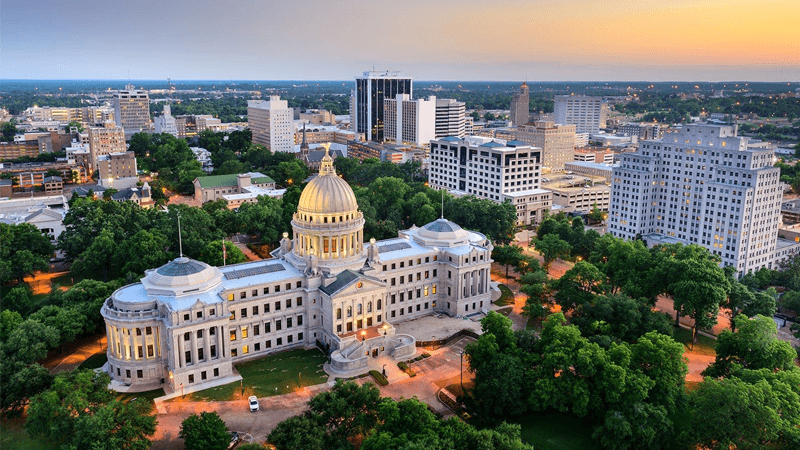 From the Delta to the Gulf Coast: Your Free Government Phone Guide for Mississippi (2026)