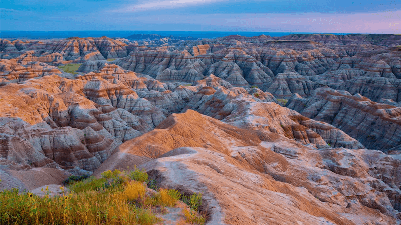 Mount Rushmore State, Manual Mode: How to Get a Free Government Cell Phone in South Dakota (2026)