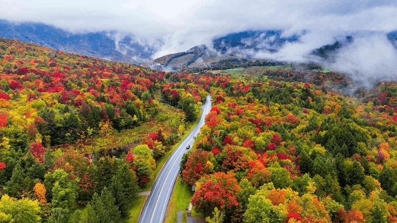 Green Mountain State, Generous Margins: How to Get a Free Government Cell Phone in Vermont (2026)